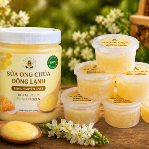 sua-ong-chua-dong-lanh